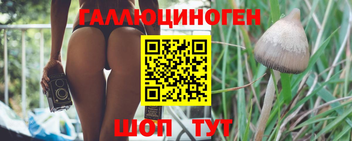Ростов Великий  Галлюциногенные грибы GOLDEN TEACHER  Галлюциногенные грибы MAGIC MUSHROOMS  Вход с VPN 